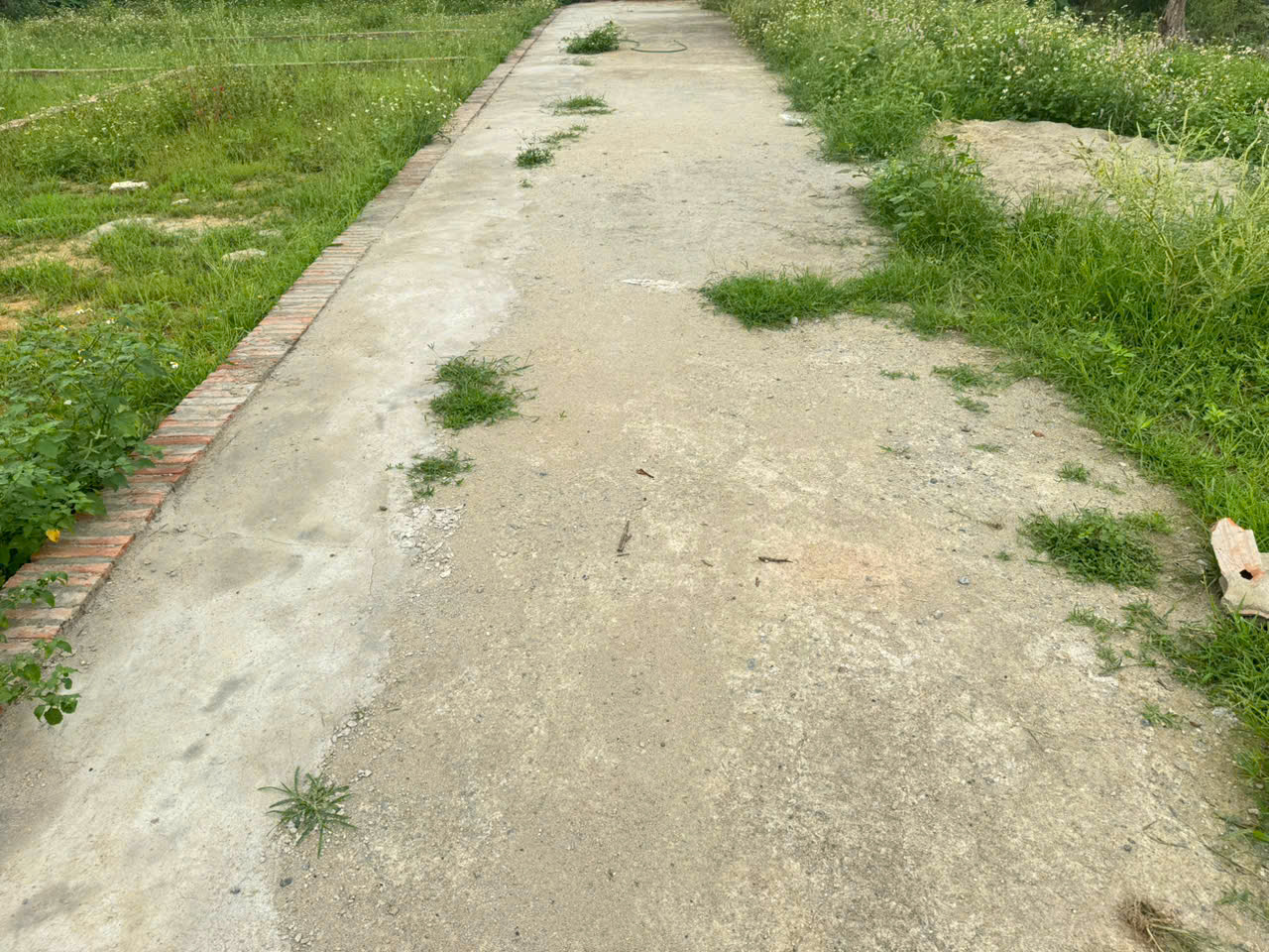  Chỉ với 2,5 tỷ, sở hữu lô đất 54m, thôn Ấp Quan - tổ 9, Quang Minh, Mê Linh. Đường rộng, oto đỗ 