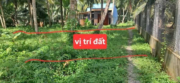  CẦN THANH LÝ GẤP LÔ ĐẤT THỔ CƯ GIÁ TỐT TẠI GIỒNG TRÔM 