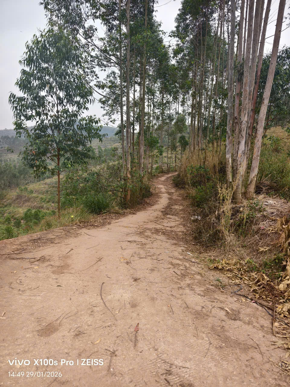  Bán lô đất 20ha Rừng Sản Xuất Thuộc Kiên Thành – Lục Ngạn – Bắc Giang. 