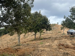  Cần bán 12000m2 giá 1000m2/550tr. Ninh Gia - Lâm Đồng. 