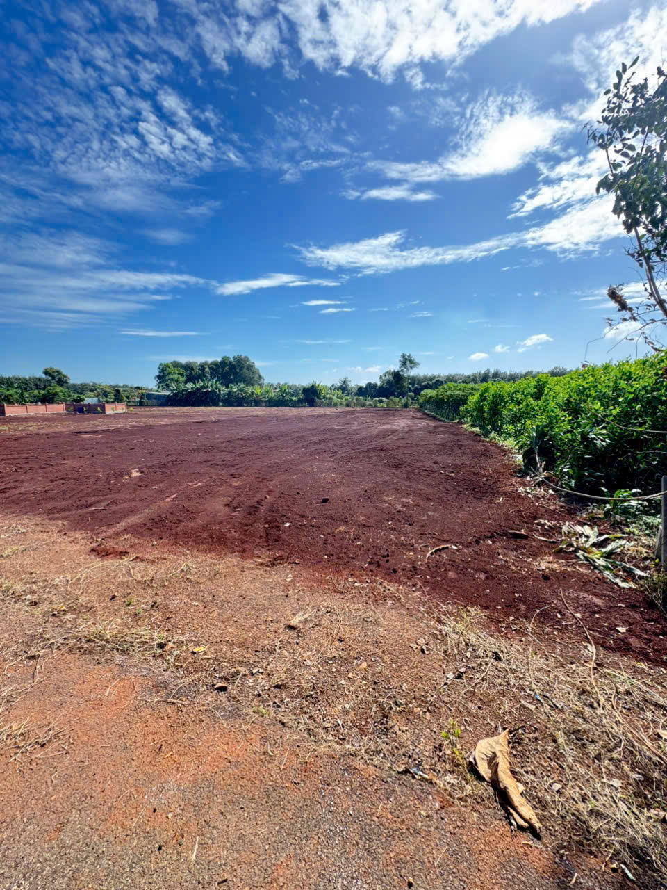  cần bán gấp gần 1 xào đất Long Phước, TP Bà Rịa nay phường Tam Long 