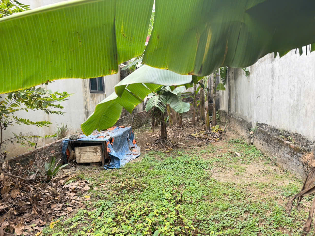  Bán gấp 74m đất thôn Chi Đông 2, xã Quang Minh, TP HN. Cách 500m tiện ích bạt ngàn 