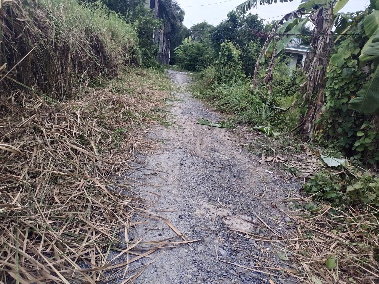  CẦN BÁN 237M2 ĐẤT VƯỜN LÊN ĐC THỔ CƯ HẺM XE HƠI 