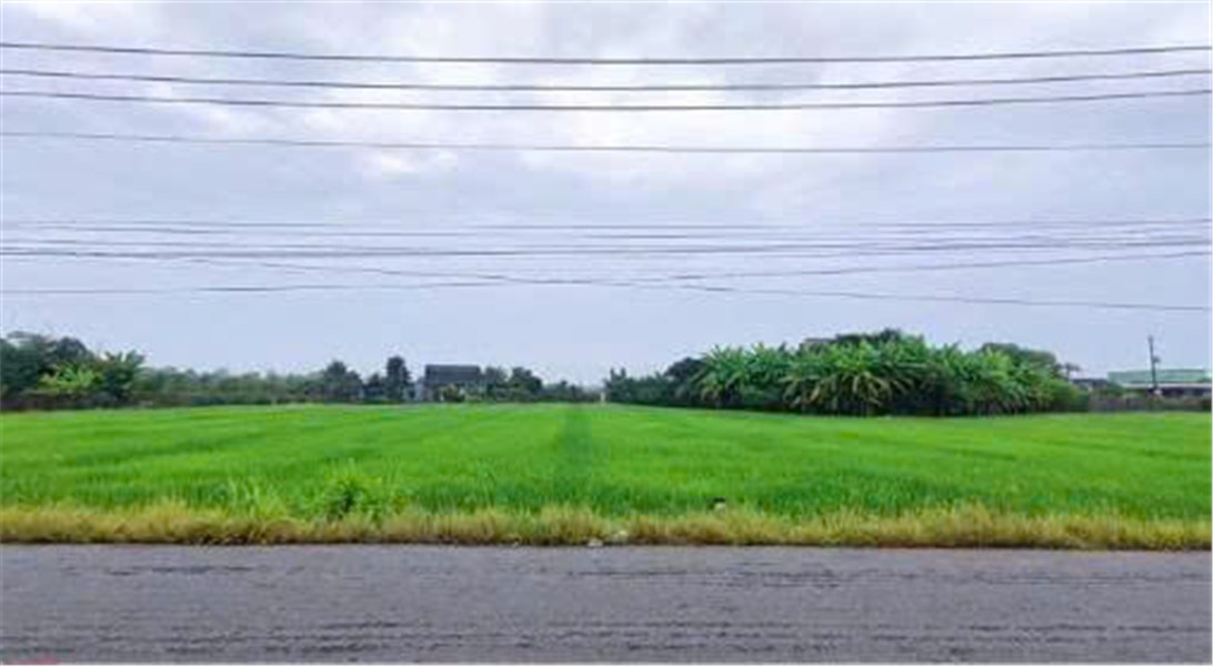  ĐẤT CHÍNH CHỦ - 2 LÔ MẶT TIỀN Đường DT827B Xã Phước Tân Hưng, Châu Thành, Long An 