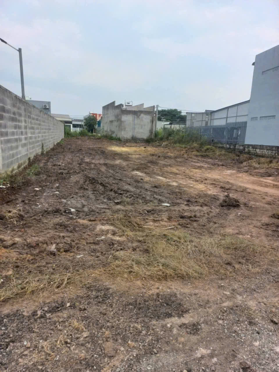  Bán lô đất đường bê tông khu cây quéo Long Điền cách quốc lộ 55 khoảng 150m 