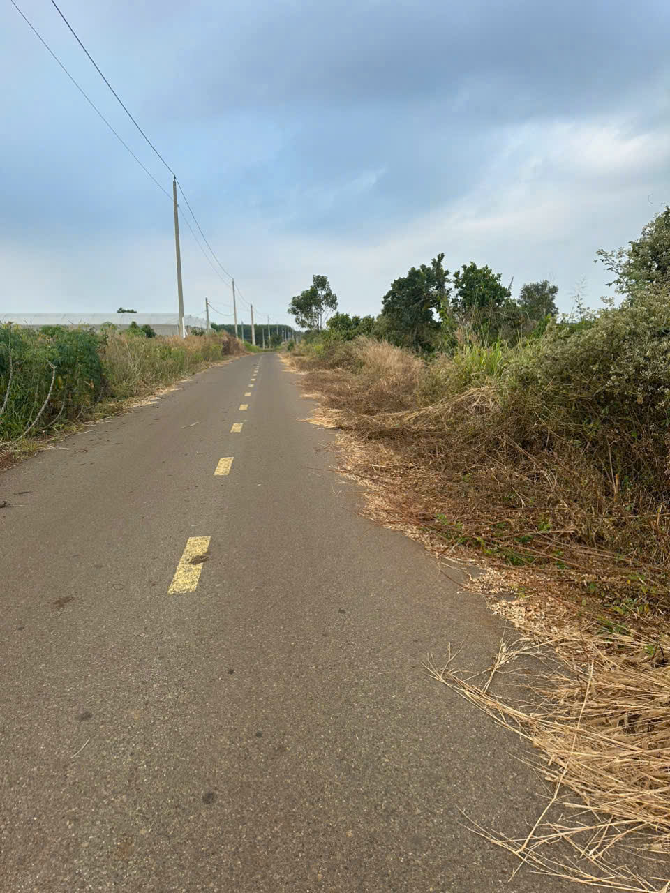  ???? BÁN GẤP ĐẤT PHƯỚC LONG THỌ – GẦN KCN ĐẤT ĐỎ 