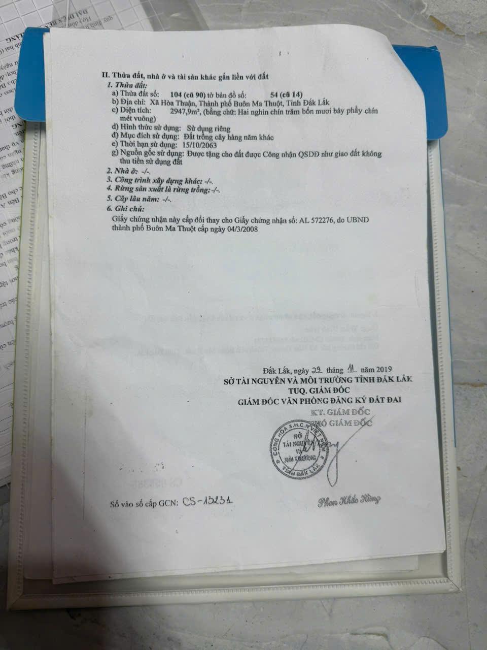  CHỦ NGỢP - Giảm giá bán nhanh trước tết nhà vườn -  Buôn Ma Thuột tỉnh Đắk Lắk 