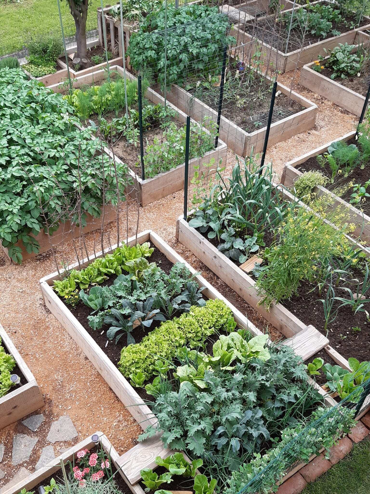  GIẢM SỐC 2 TỶ - BIỆT THỰ SAVIMEX, QUẬN 7 - MẶT TIỀN 