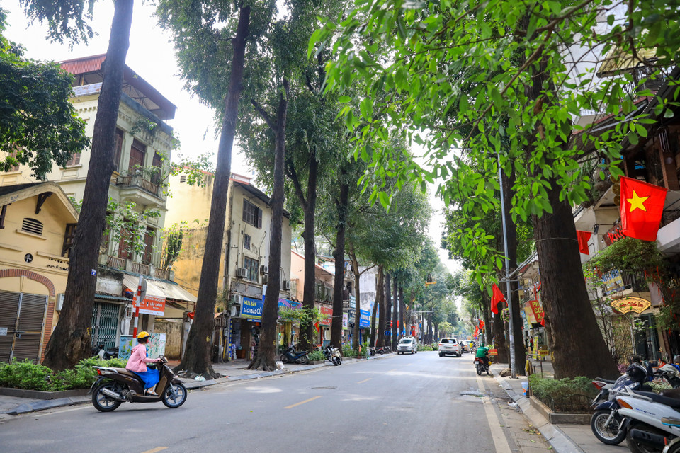  23.02.23.3. Bán nhà mặt phố quận Hai Bà Trưng cũ, giá chỉ 125 triệu/m2, diện tích 117,2m2 