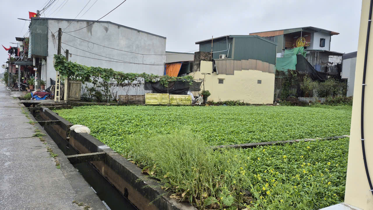  BÁN LÔ ĐẤT 70M² – GẦN ĐƯỜNG PHAN TRỌNG TUỆ, NGỌC HỒI – XÃ THANH TRÌ, HÀ NỘI 