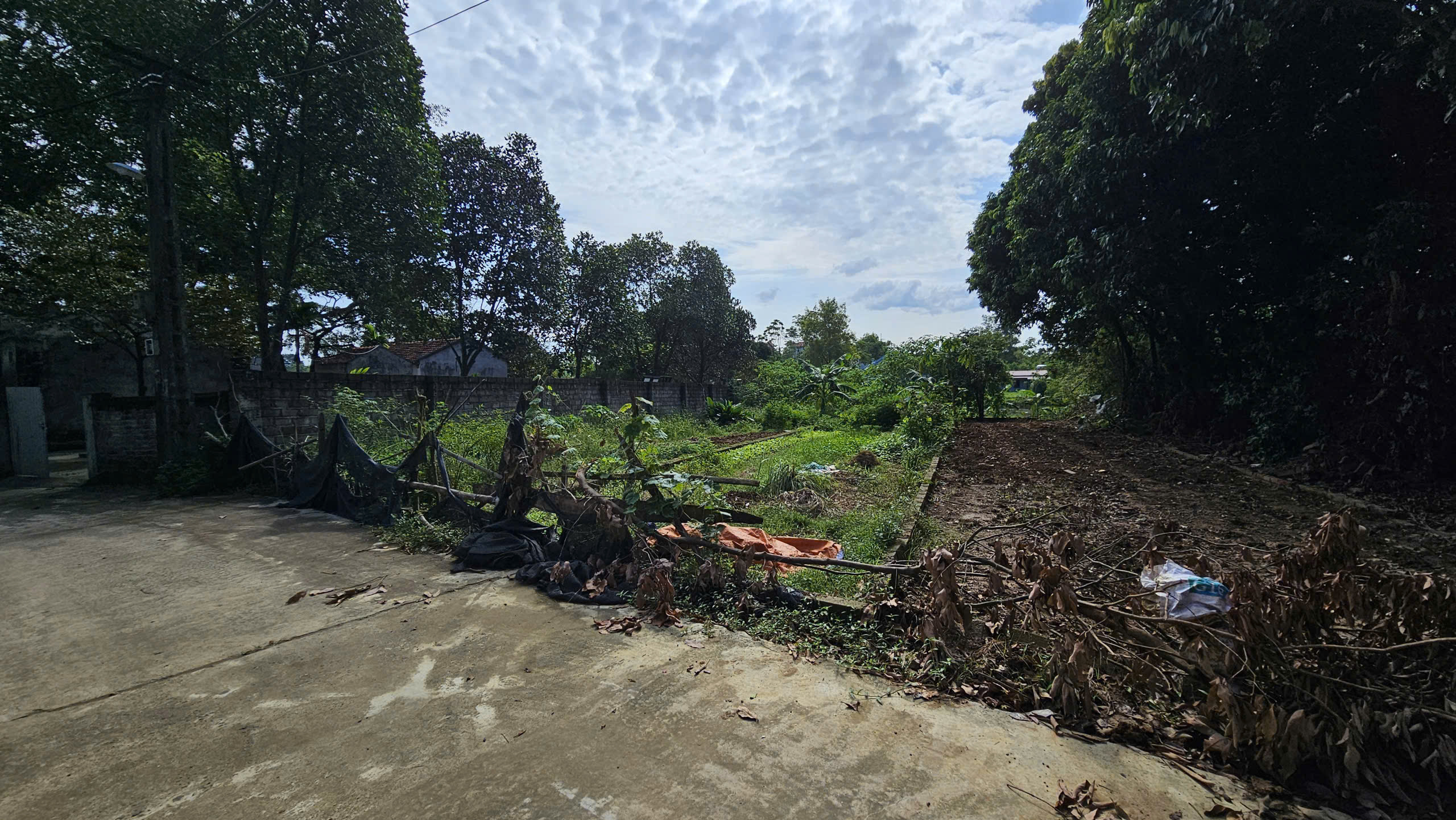  BÁN ĐẤT KHU LINH SƠN, THẠCH THẤT, HÀ NỘI – TIỀM NĂNG ĐẦU TƯ CAO 