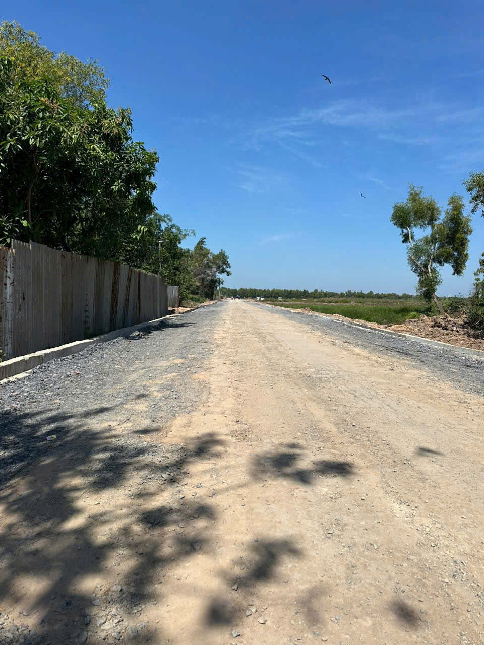  BÁN GẤP 55.000M² ĐẤT ĐẸP – PHƯỚC VĨNH AN – CỦ CHI – ĐÃ SAN LẤP – CHỈ 195 TỶ TL 