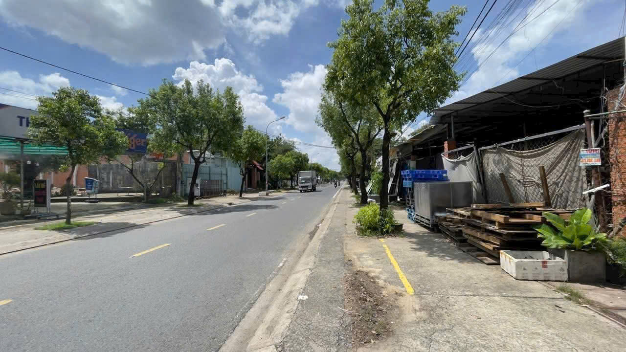  ĐẤT ĐẸP (14X56) MẶT TIỀN THANH NIÊN – 800m² – GIÁ CHỈ 9,5 TỶ (GẦN CẦU LỚN) 