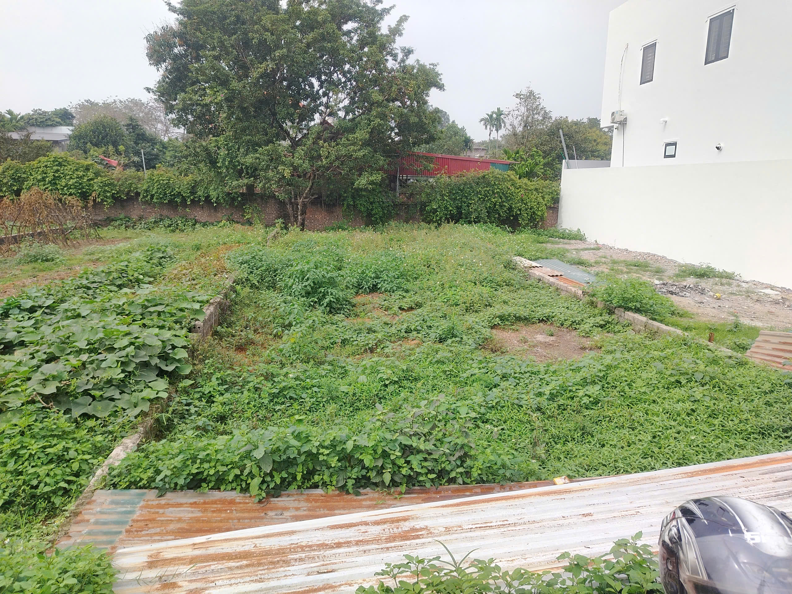  Gia đình cần bán 156m2 (80m2 thổ cư) lô đất vuông vắn nở hậu, mặt tiền 6m, nở hậu 6.4m 