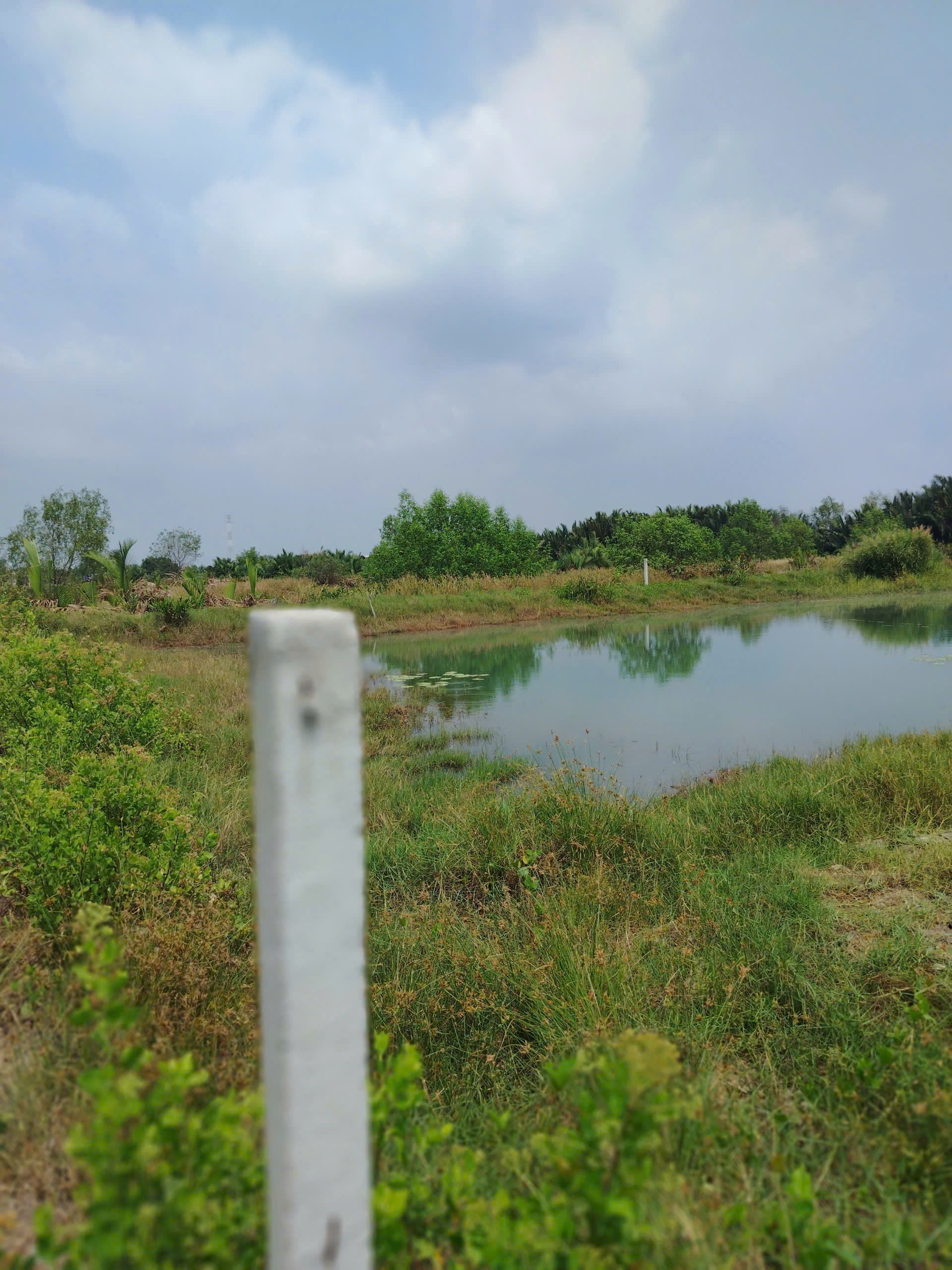  CHÍNH CHỦ CẦN BÁN GẤP ĐẤT TẠI XÃ BÌNH KHÁCH, CẦN GIỜ, TP. HỒ CHÍ MINH 