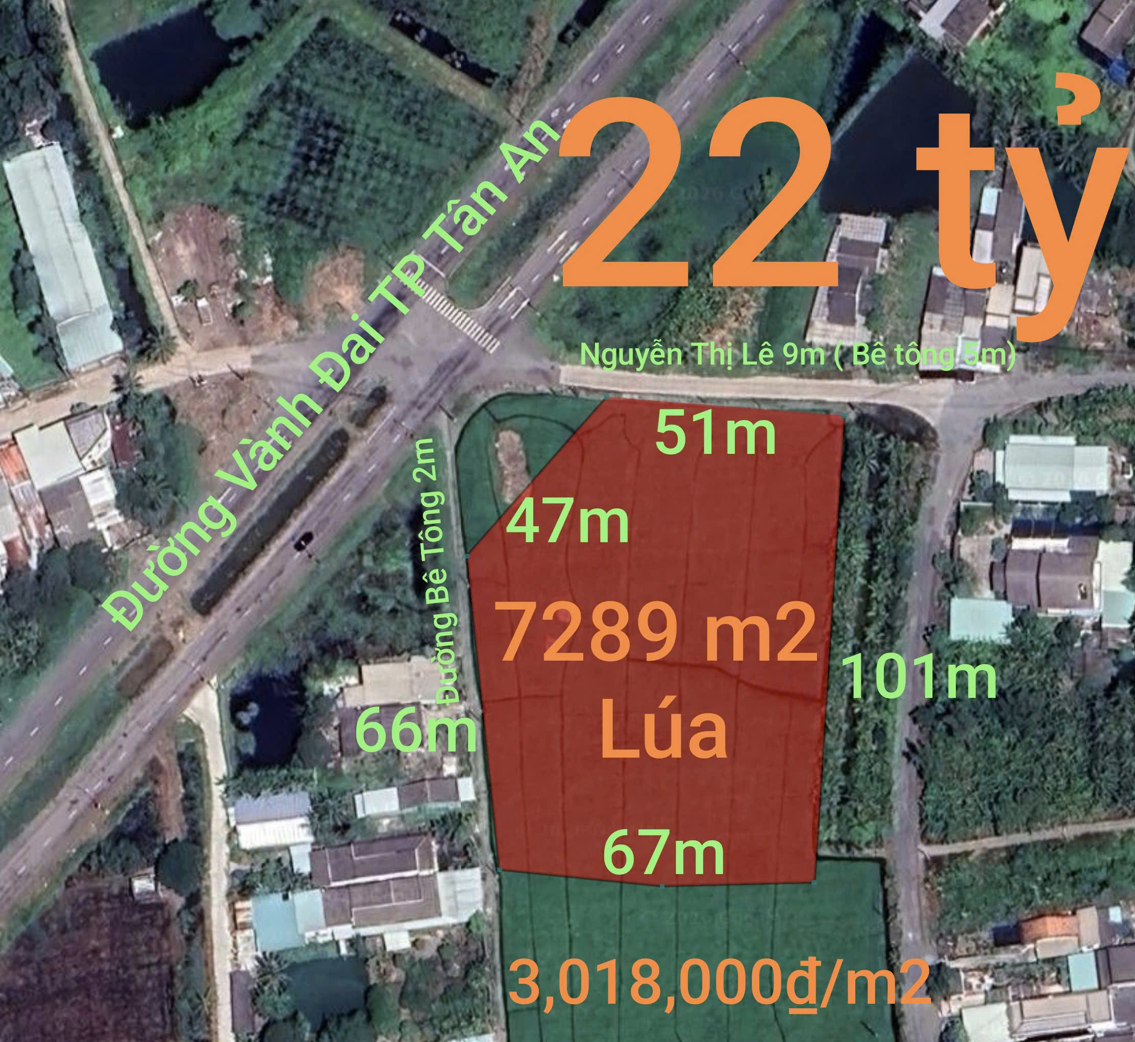  Bán gấp lô đất lúa chuyển thổ đường Vành Đai Tân An giá 22 tỷ 