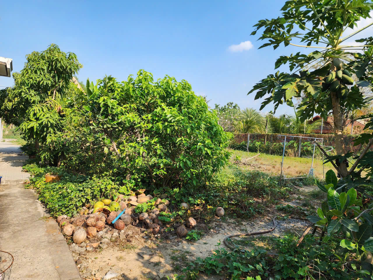  BÁN ĐẤT NHÀ Ở + SÂN VƯỜN – TP TÂY NINH - GIÁ TỐT ĐẦU TƯ 