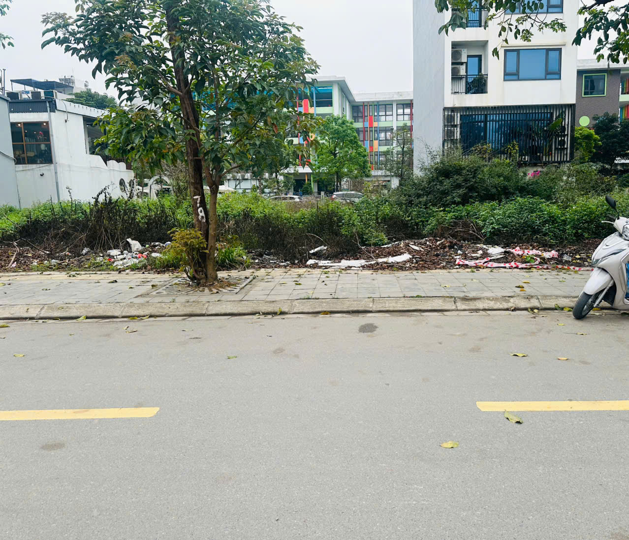  SỞ HỮU NGAY LÔ ĐẤT ĐẸP - GIÁ TỐT - Vị Trí Đắc Địa Tại N3 khu vườn đào Phúc Lộc - Đông  Anh 