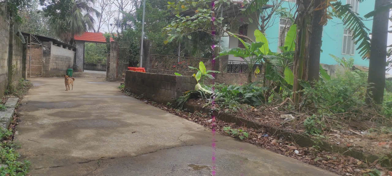  BÁN LÔ ĐẤT ĐẸP - GIÁ TỐT - Vị trí đẹp tại thôn Mai Xá, Gia Thuỷ, Nho Quan, Ninh Bình 