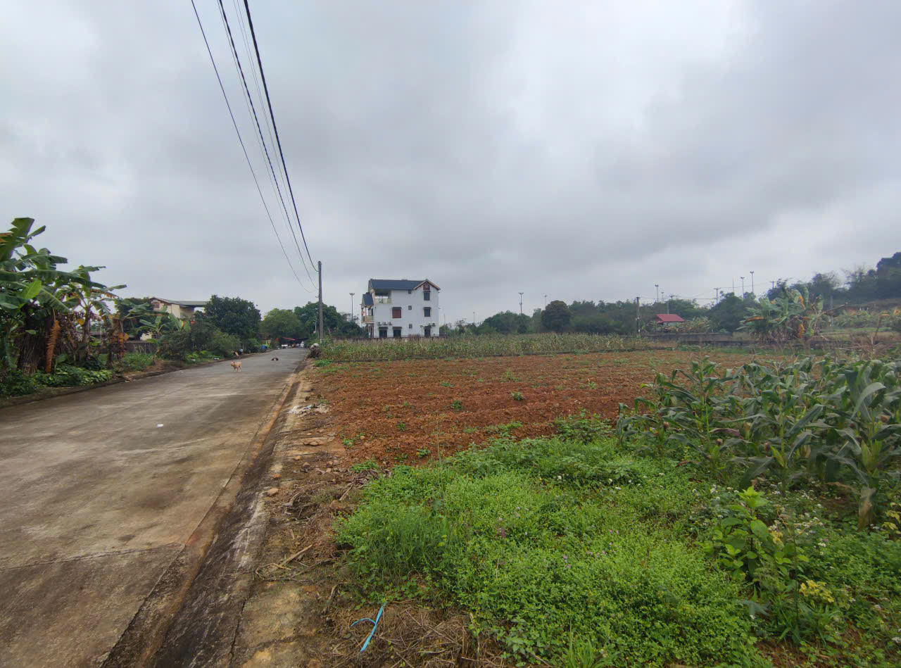  QUỸ ĐẤT ĐẸP TRUNG TÂM HÒA LẠC – SẢN PHẨM DÀNH RIÊNG CHO NHÀ ĐẦU TƯ TẦM NHÌN 