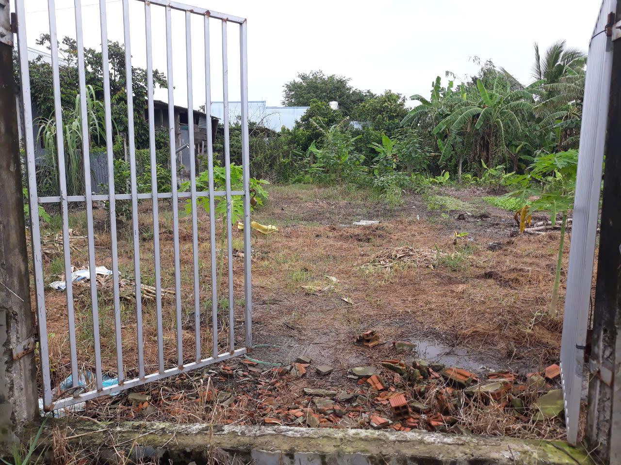  Kẹt tiền cần bán gấp trong tháng 2 lô đất liền kề vị trí xã Đồng Thạnh, Gò Công Tây, Tiền Giang 