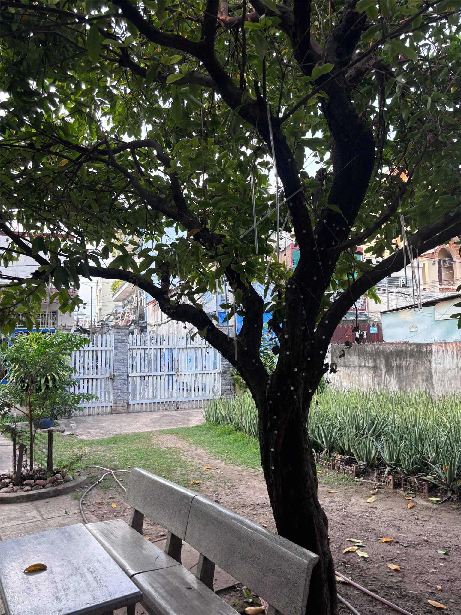  HOT HOT - Đất chính Chính Chủ Mặt tiền đường Nguyễn Ảnh Thủ, Quận 12, HCM 