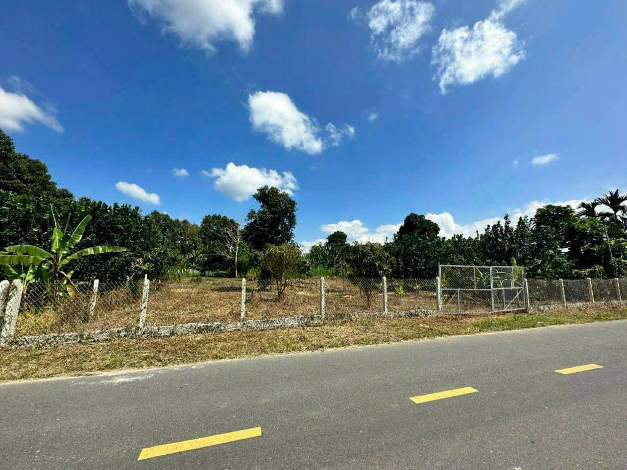  Đất mặt tiền Tỉnh Lộ 2, Xã Diên Thọ, Huyện Diên Khánh, Khánh Hòa - Đất có sẵn vườn cây trái 