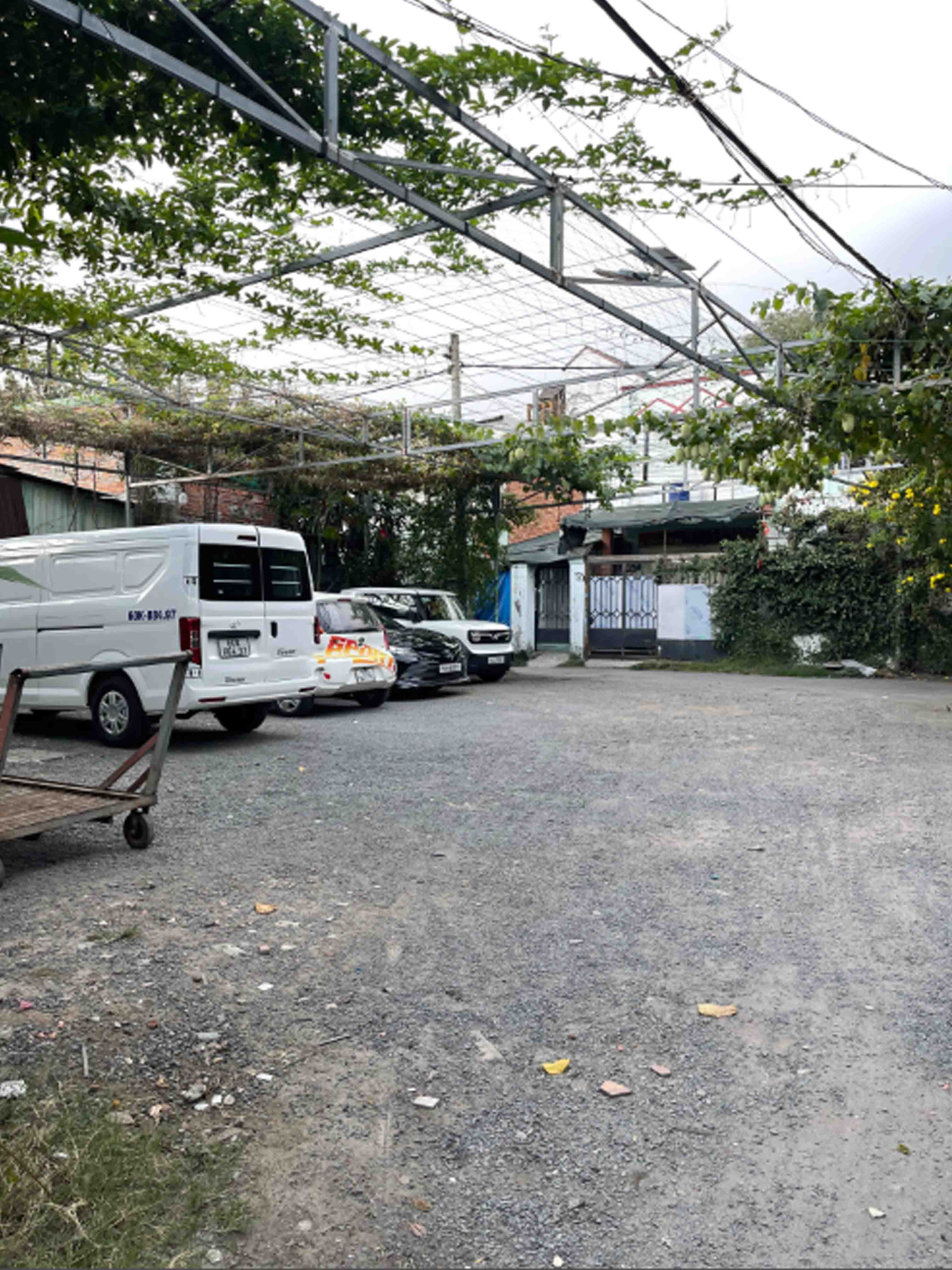  Bán Nhà Đường Số 9 Linh Tây 60m2 Sát Phạm Văn Đồng Hẻm Ô Tô Chỉ 6.4 Tỷ 