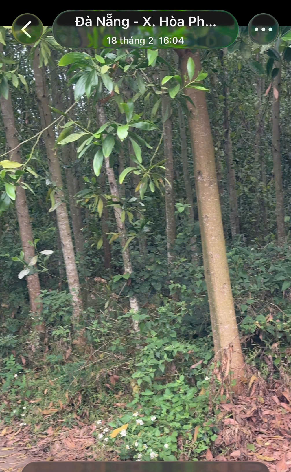  ĐẤT ĐẸP – GIÁ TỐT  – CHÍNH CHỦ CẦN BÁN GẤP tại  Xã Hòa Phong, Huyện Hòa Vang, Đà Nẵng 