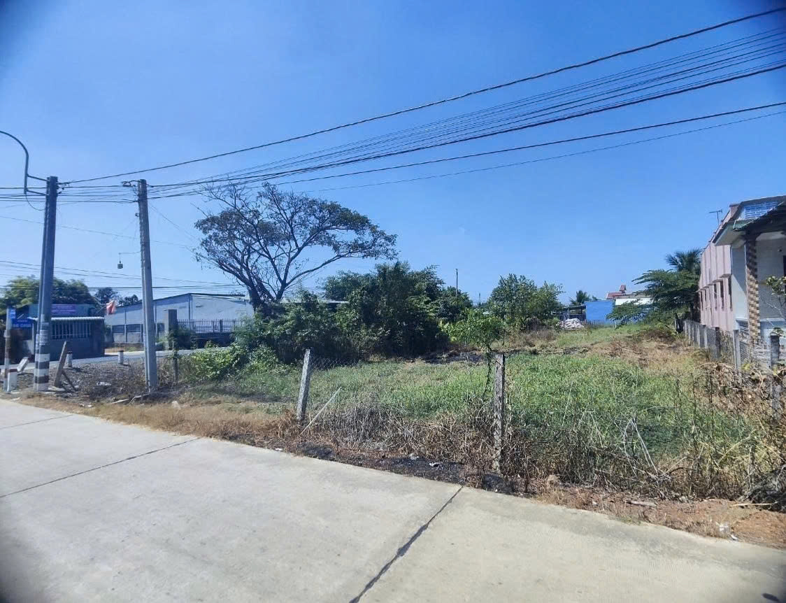  BÁN ĐẤT NÔNG NGHIỆP – ĐƯỜNG BỜ CHÙA, XÃ PHƯỚC LÝ, HUYỆN CẦN GIUỘC, LONG AN 