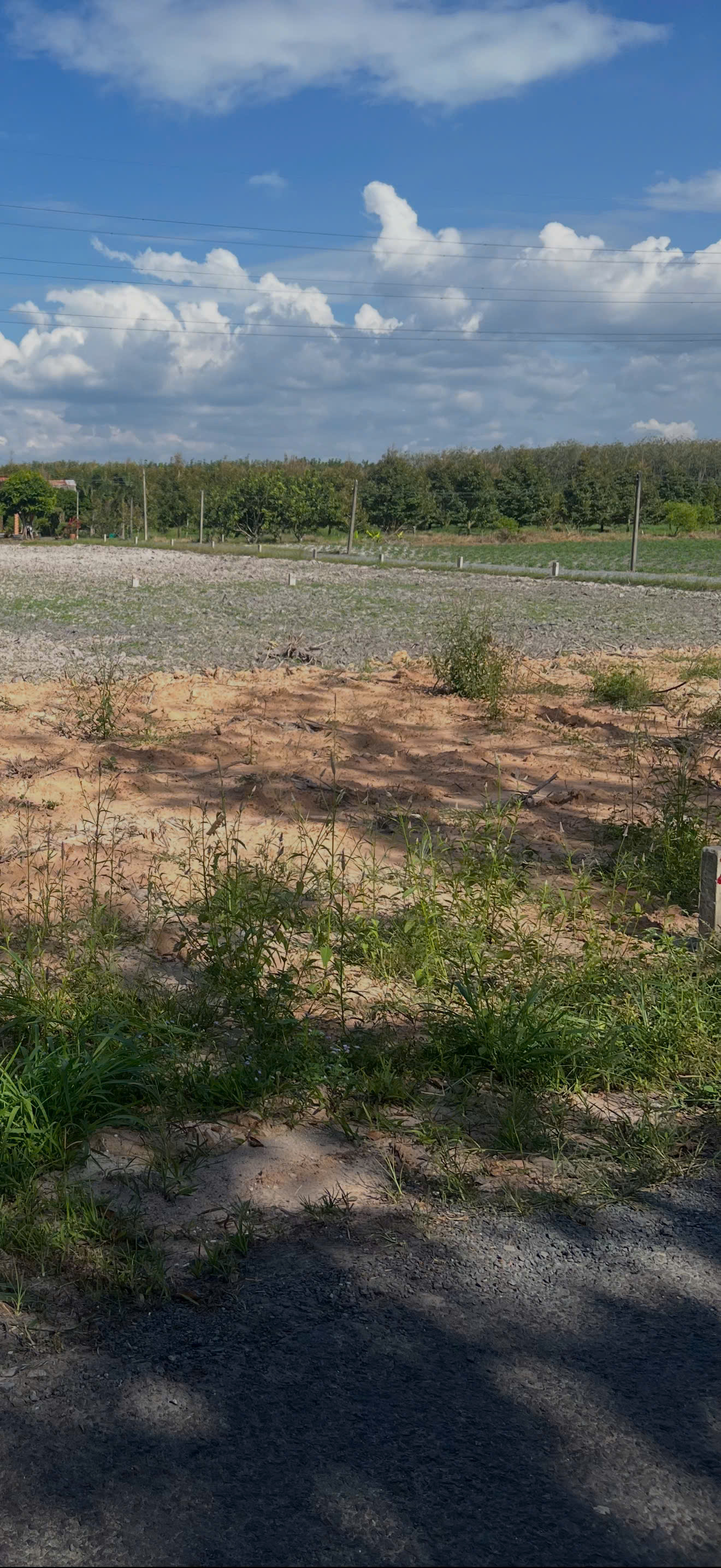  BÁN ĐẤT GIÁ TỐT VỊ TRÍ ĐẸP, SINH LỜI CAO 