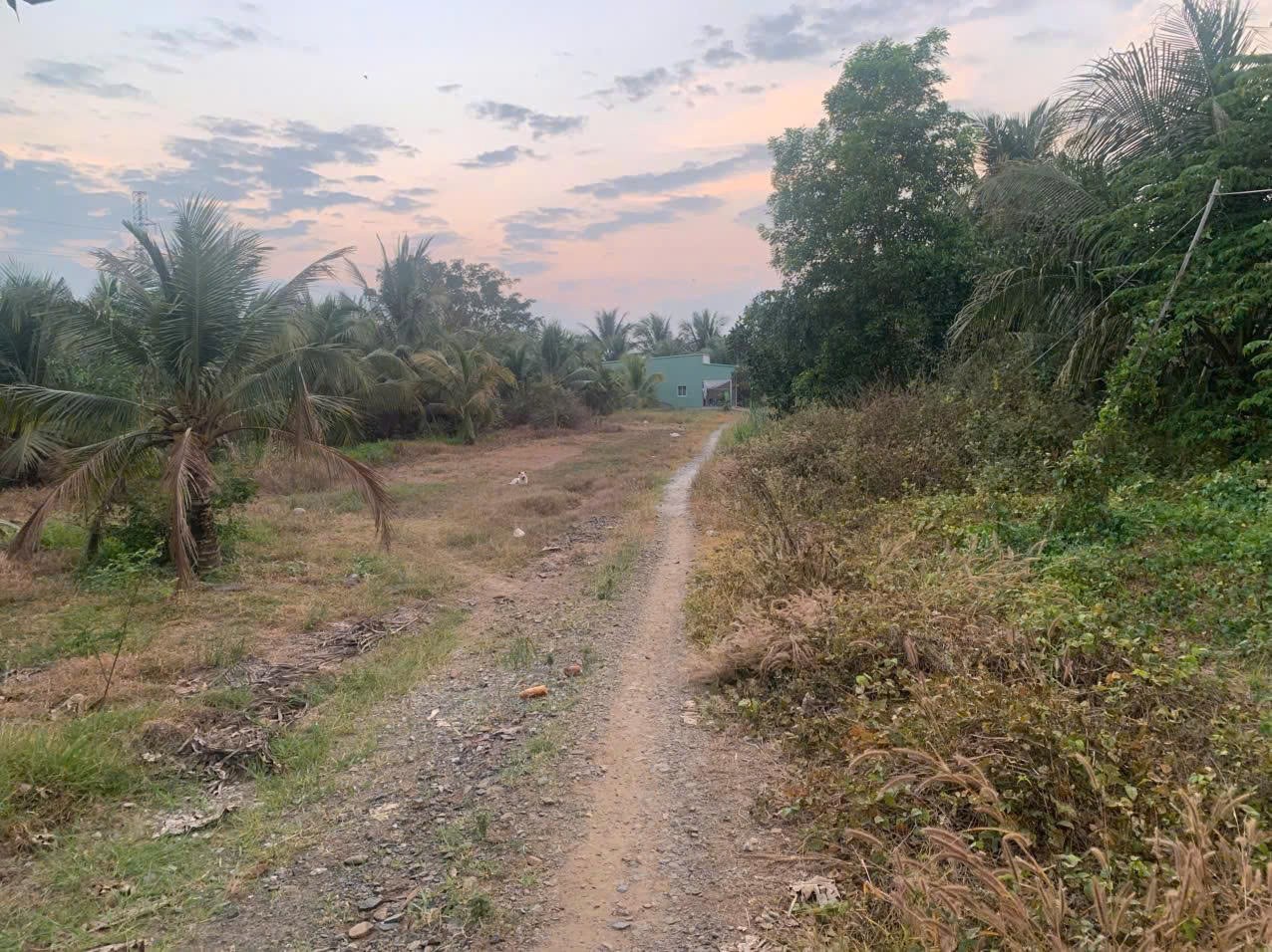  ĐẤT VƯỜN – GIÁ TỐT  – CHÍNH CHỦ CẦN BÁN Tại Cầu Vĩnh Lạc, Xã Vĩnh Gia, Huyện Tri Tôn, An Giang 