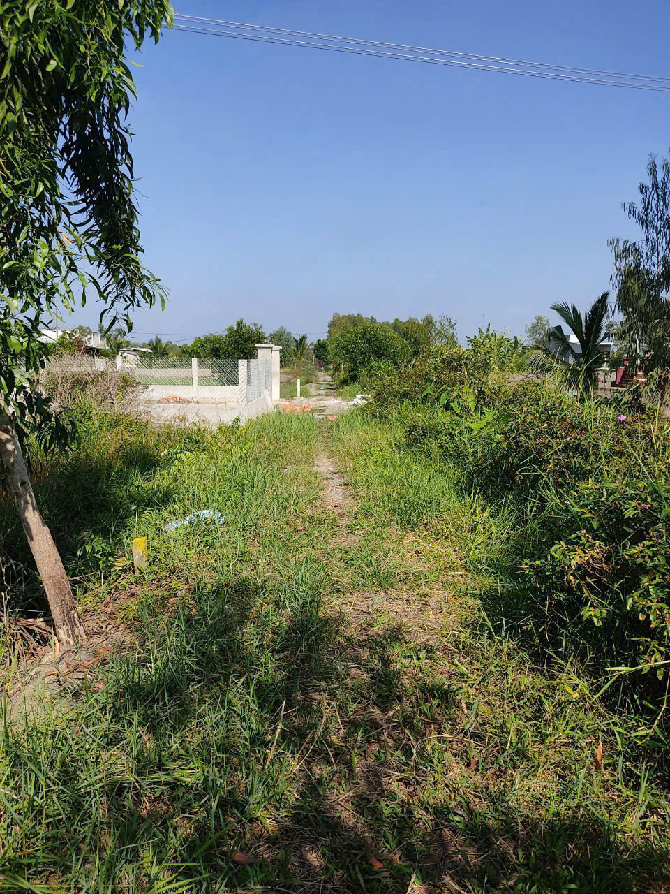  Bán Đất Xã Hòa Khánh Tây, Huyện Đức Hòa, Long An 