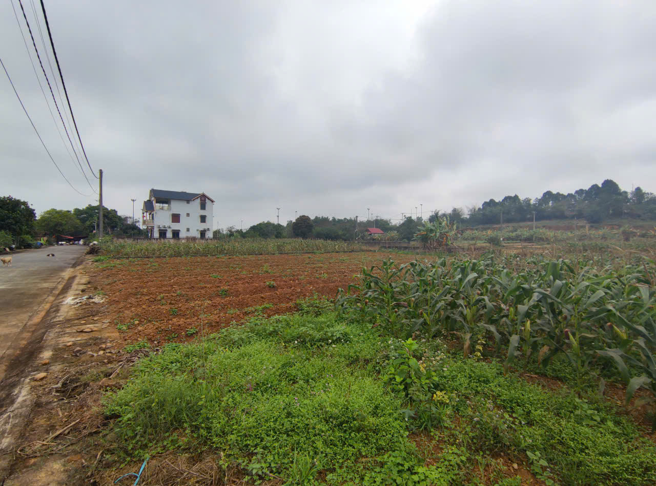  Đất tái định cư Đồng Doi – điểm sáng đầu tư gần ĐHQG Hà Nội 