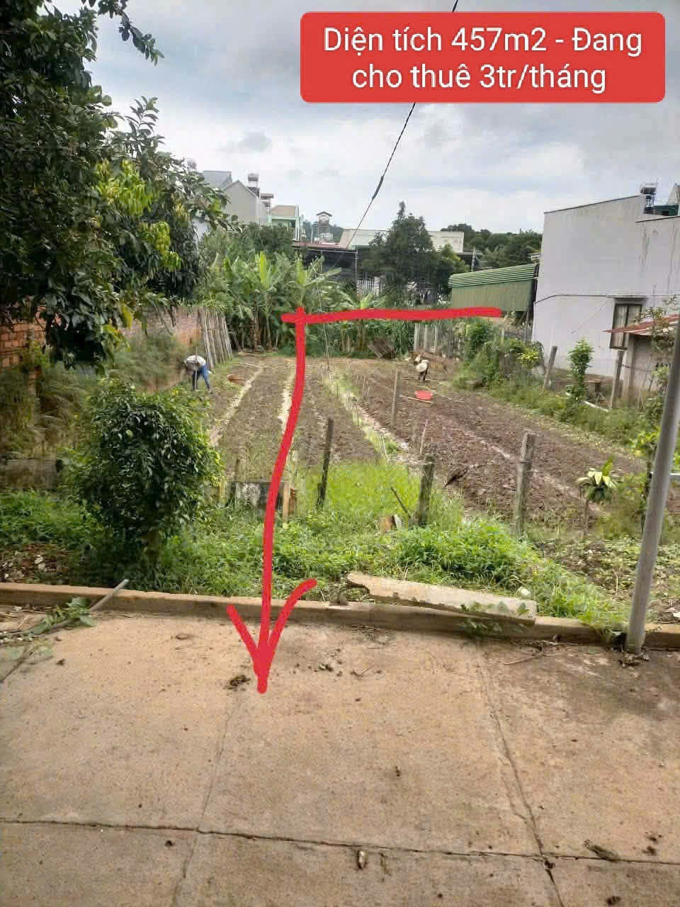  Bán nhà vườn 457m2 Phi nôm - hiệp thạnh - Đức Trọng - Lâm Đồng 2,6 tỷ 