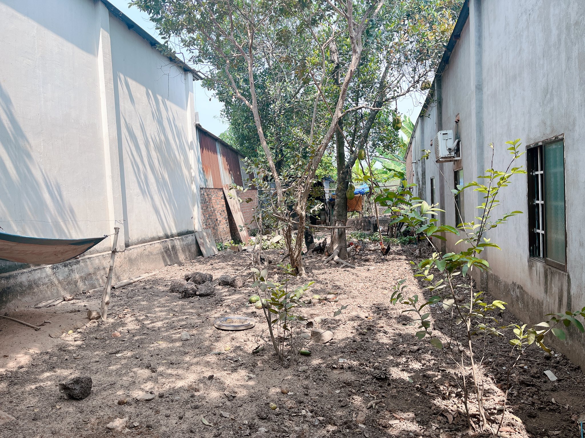  Cần bán lô đất ngay Chánh Phú Hoà - sổ hồng riêng, tiềm năng sinh lợi cao 