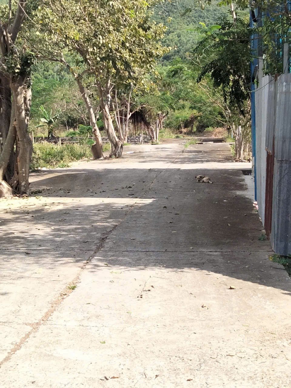  Bán lô đất đẹp phước hạ, phước đồng , 2 mặt tiền đường oto 6m. Đường vào 6m và 9m 