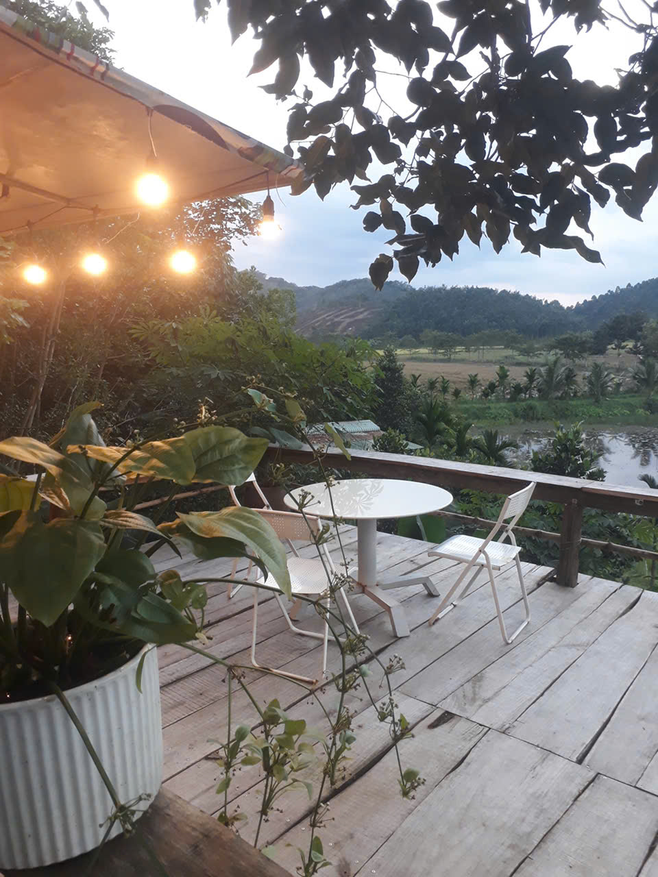  CHÍN CHỦ BÁN SIÊU PHẨM ĐẤT ĐẸP - Phù Hợp Cho Mọi Gia Đình 