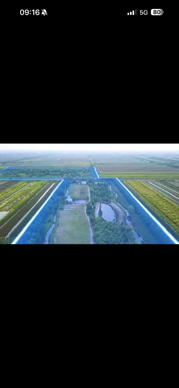  Bán Gáp 10.3ha Đất Thổ Cư Mặt Tiền -Xã Thạnh Tân, Tân Phước, Tiền Giang  Chỉ 230 Tỷ 