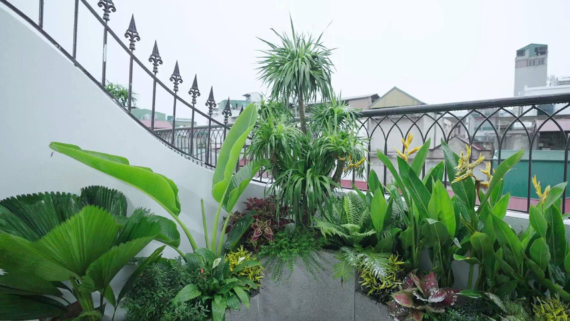  NHÀ LÔ GÓC – NGÕ Ô TÔ TẢI – CÁCH PHỐ HOÀNG HOA THÁM HƠN 20M
Căn nhà hiếm trong khu Ba Đình, vị trí cực đẹp – ở sướng, đi lại thuận tiện, có thể kinh doanh 