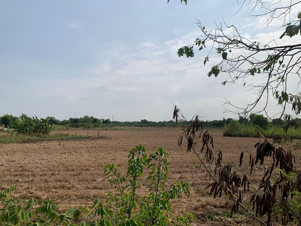  Đất Mặt Tiền - Hưng Long, Đa Phước, Bình Chánh 15000m² Chỉ  70 Tỷ, 