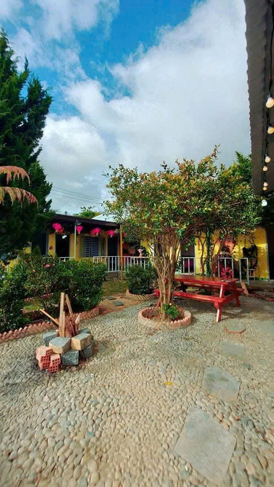  CHO THUÊ HOMESTAY SÂN VƯỜN _ P.8 ĐÀ LẠT _ CÁCH HỒ 100M 