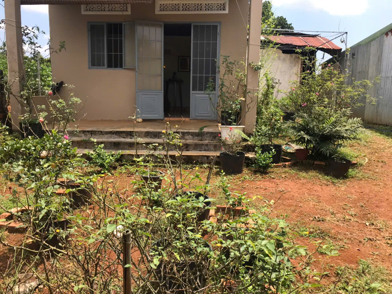  CHÍNH CHỦ BÁN ĐẤT CÓ NHÀ – ĐẤT FULL CÀ PHÊ ĐANG THU HOẠCH – LỘC ĐỨC - BẢO LÂM 