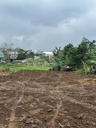  chính chủ Bán đất Hoà Thọ Tây 204 m2 (gần Tôn Đản nối dài) Hòa Thọ Tây, Cẩm Lệ, Đà Nẵng 