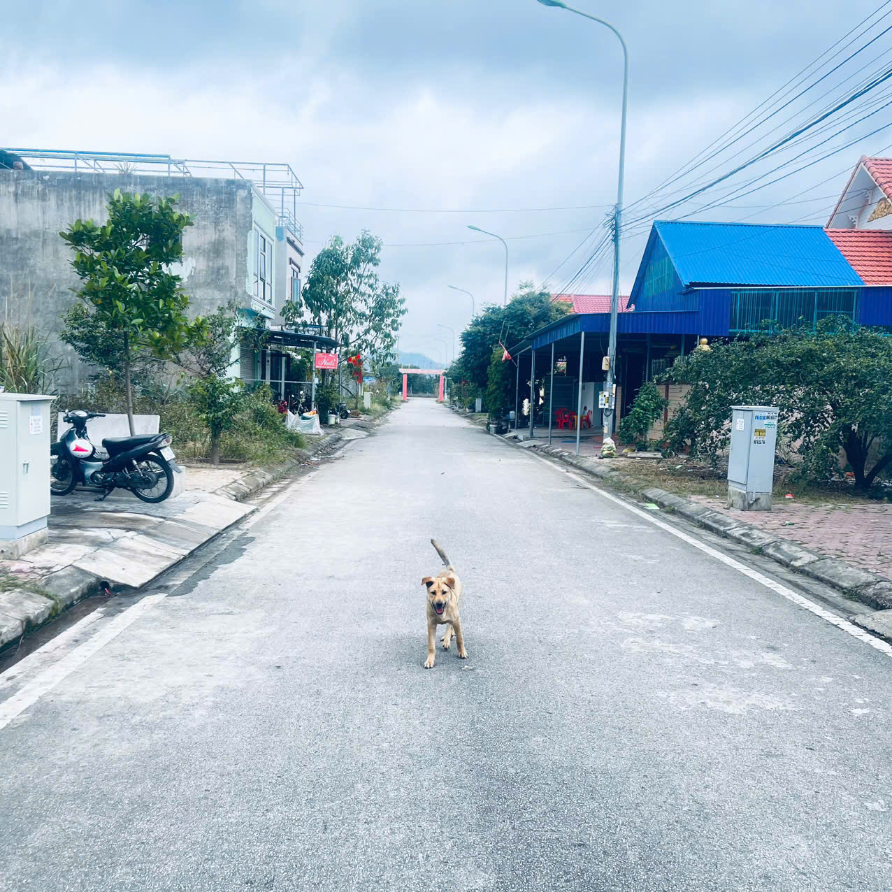  HÀNG HIẾM – CHÍNH CHỦ GỬI BÁN 2 LÔ ĐẤT TÁI ĐỊNH CƯ GIA MINH 