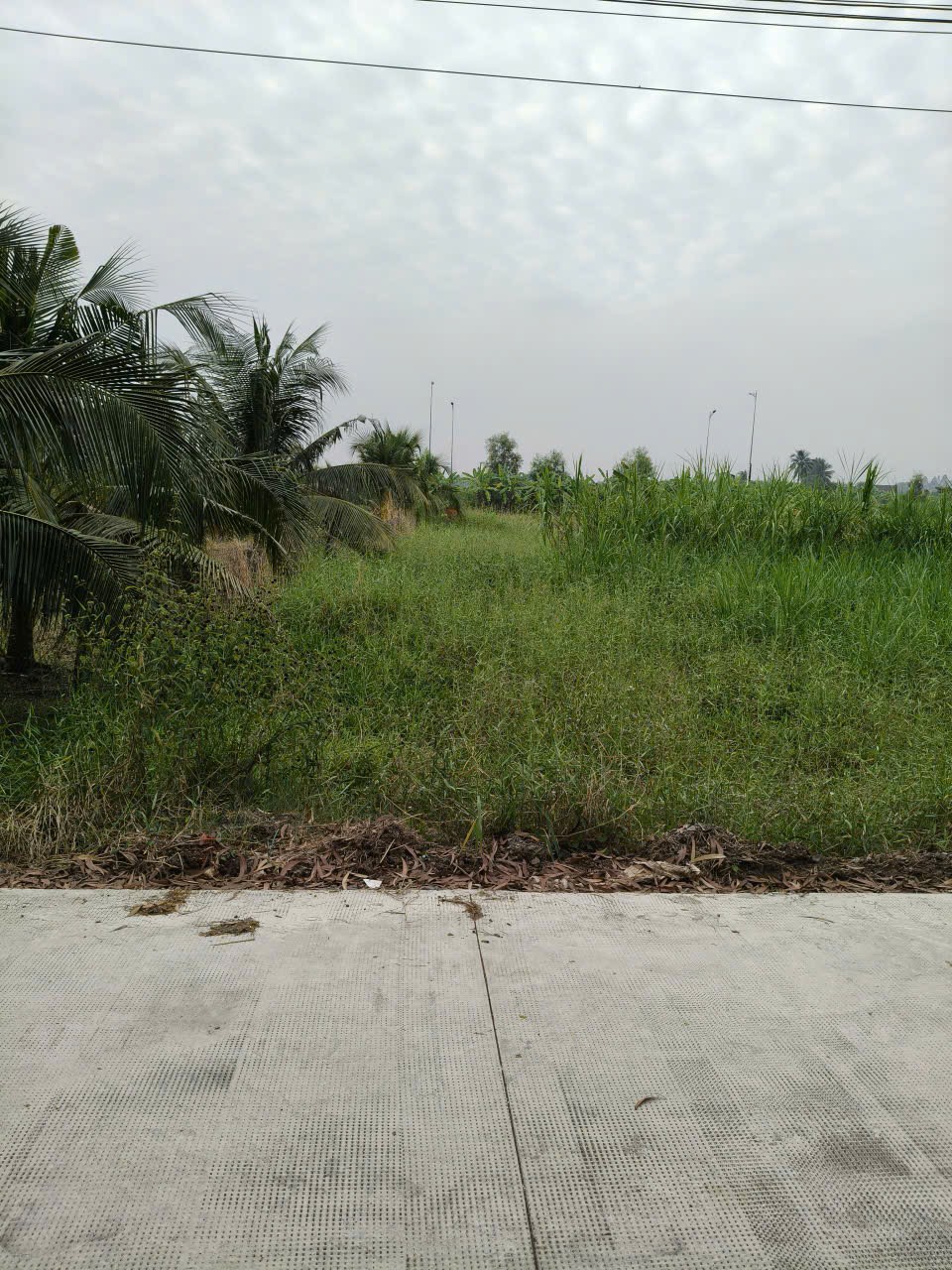  Cần bán lô đất thổ cư mặt tiền đường đan bờ kênh N3, Phường Tân Khánh, Thành Phố Tân An, Long An(Cũ) 