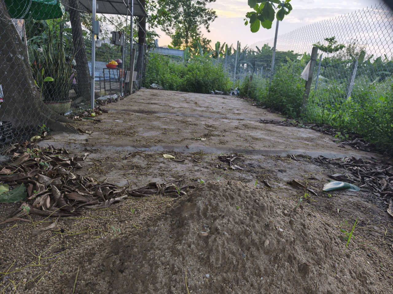  # Mặt Tiền Mẹ Suốt, gần Chợ, Kinh Doanh Cực Ngon, 84m2, 1.15 tỷ 