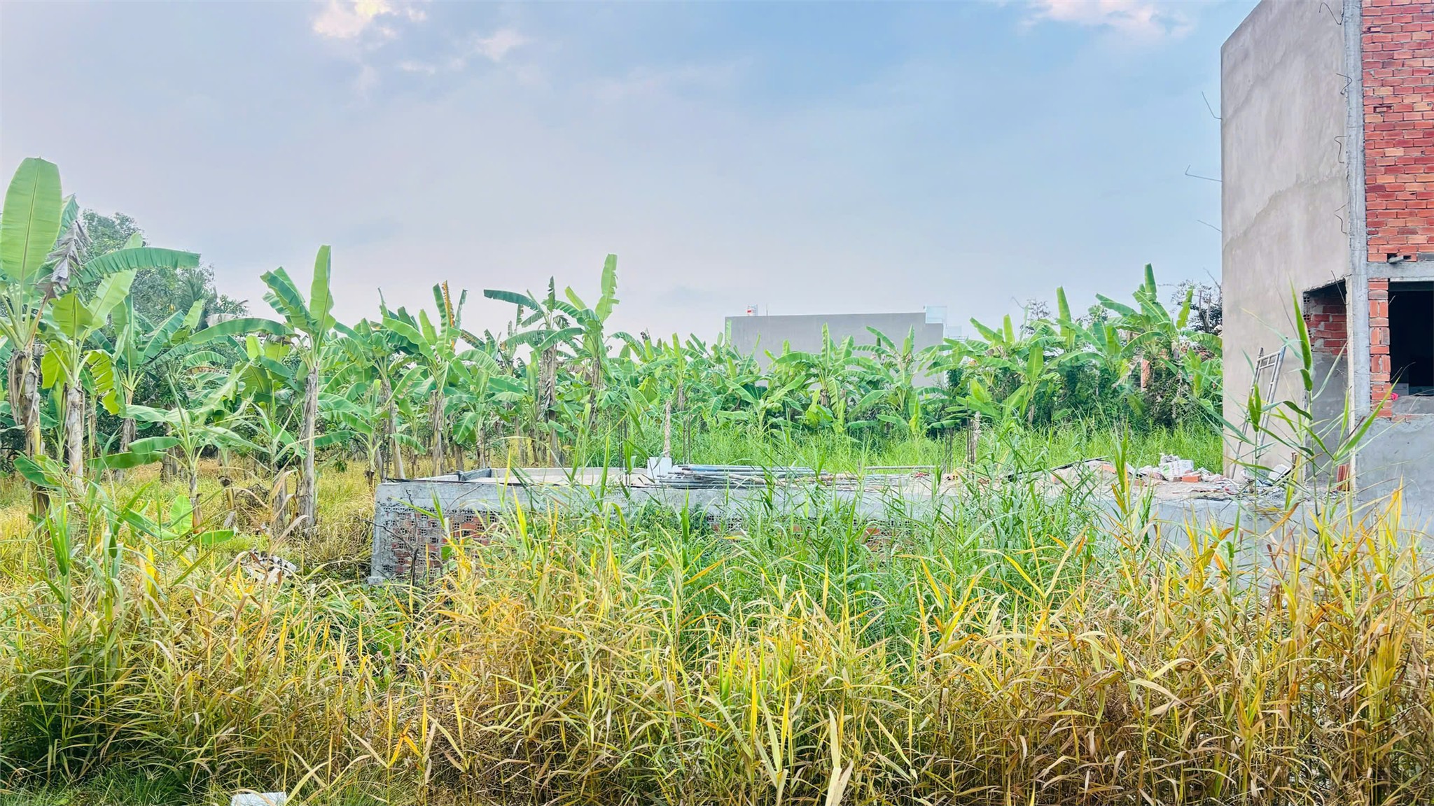  ĐẤT ĐẸP – GIÁ TỐT  – CHÍNH CHỦ CẦN BÁN Tại Lốc C KHU DÂN CƯ ĐẠI LỘC PHÁT, Phường An Bình 