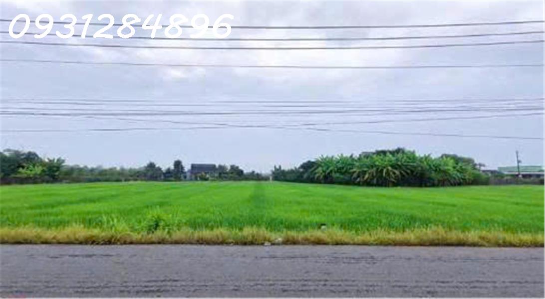  Siêu phẩm - Bán đất mặt tiền đường DT 827B, Châu Thành, Long An, DT 4.000m2, giá đầu tư 