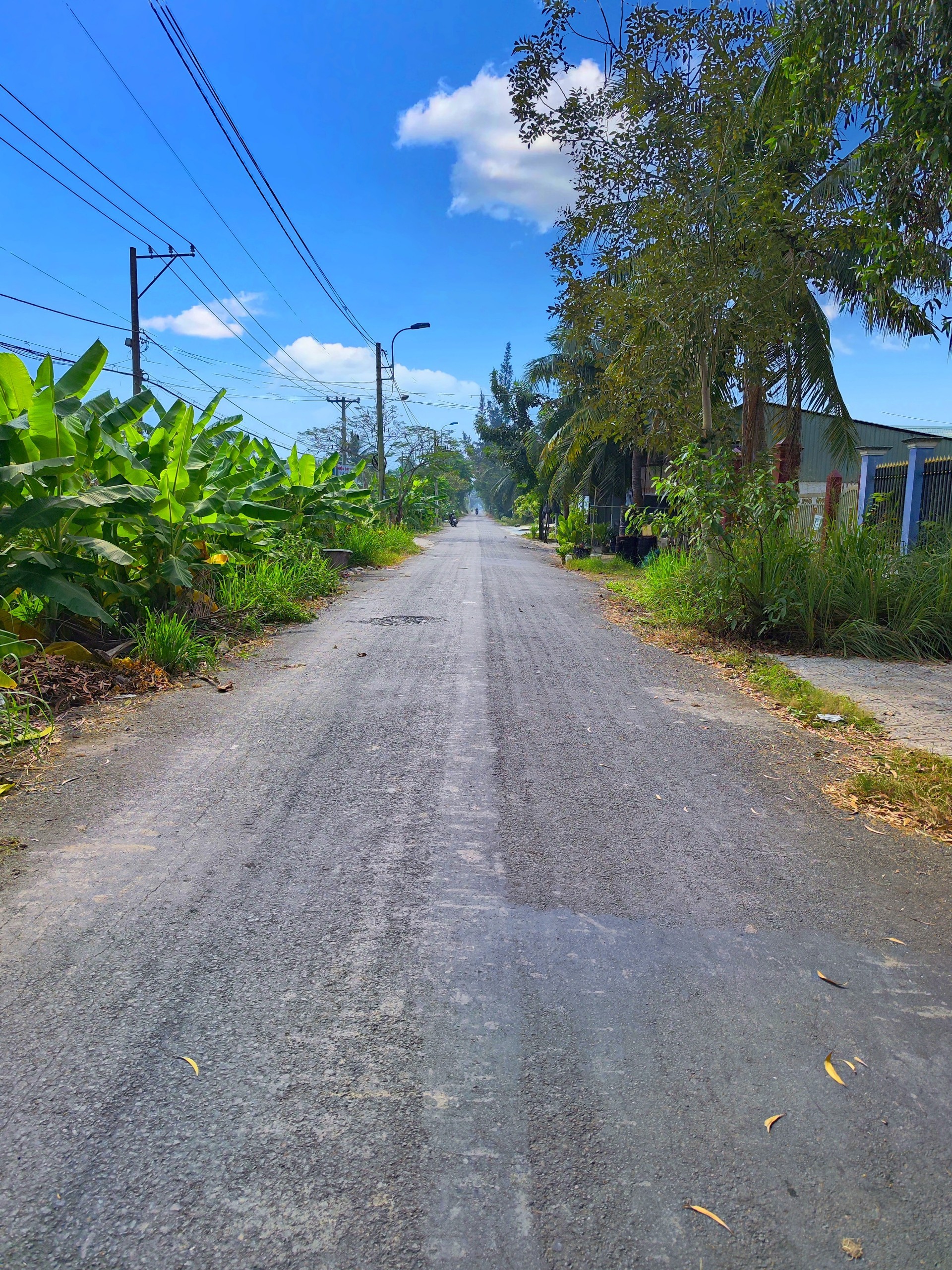  CẦN BÁN 299M2 ĐẤT THỔ CƯ VÀ NHÀ CẤP 4 MT ĐƯỜNG ĐÊ SỐ 2 